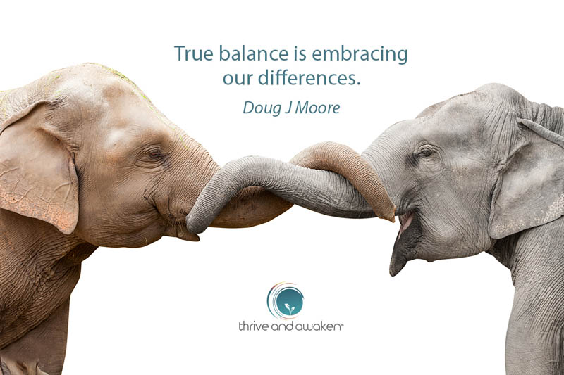 Two elephants with intertwined trunks. Quote from Doug: True balance is embracing our differences